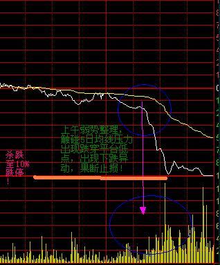 Tsakos Energy Navigation盘中异动 下午盘快速下跌5.00%